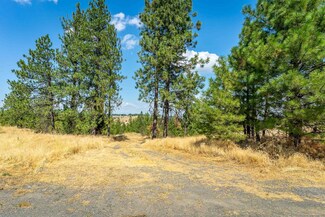 12626 W Newkirk Rd, Spokane, WA 99224