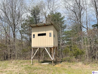 TRACT 4 Price Hill Spur Rd, Campbellsville, KY 42718