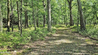 157 Mountain Top Rd, Lackawaxen Township, PA 18435