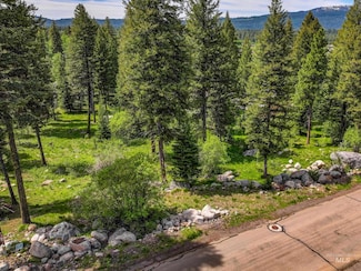 1210 Aspen Ridge Ln, McCall, ID 83638