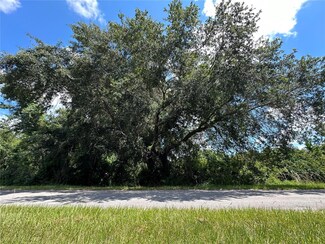 828 Paradise Blvd, Georgetown Cove, FL 32139