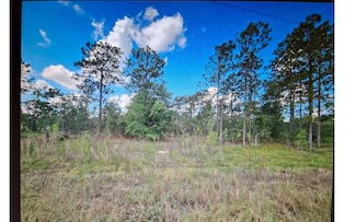 0 73 Ln, Morriston, FL 32668