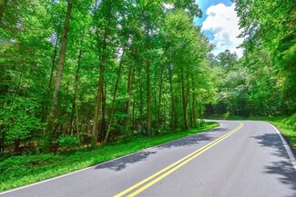 11.98AC Maple Grove Rd, Morganton, GA 30560