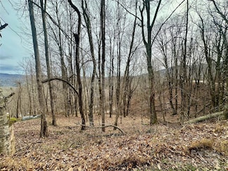 TBD Alpine Dr Unit 21-22, Seven Devils, NC 28604