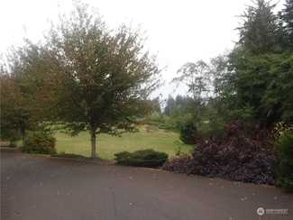 0 Niemann Ln, Hoquiam, WA 98550