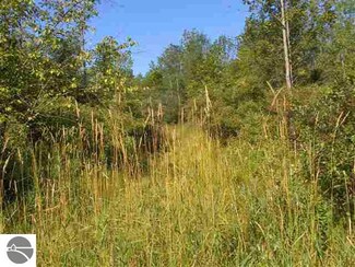 0 Davis Unit 1762359, Au Gres, MI 48703