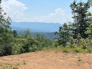501 Cliff Top Trail, Andrews, NC 28901