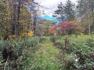 1.4 Wart Rd Unit 4, Orwell, NY 13426