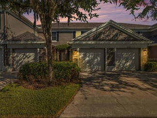 11234 Windsor Place Cir, Tampa, FL 33626
