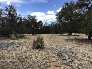 Lot 17 Candy Kitchen Rd, Ramah, NM 87321