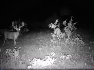 0 Cr 286 Unit Gustine TX 76455, Gustine, TX 76455