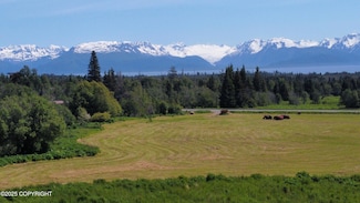 56911 Stormy Petrel Ct, Fritz Creek, AK 99603