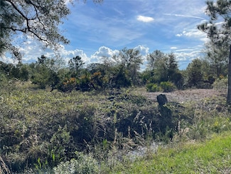 15886 NW 244th St, Okeechobee, FL 34972