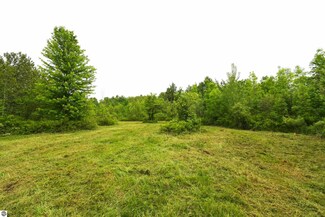 01 Alabaster Rd, Sherman Township, MI 48765