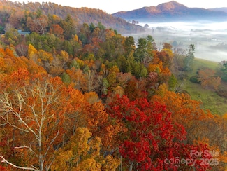 999 Coyote Hollow Rd Unit 39, Waynesville, NC 28785