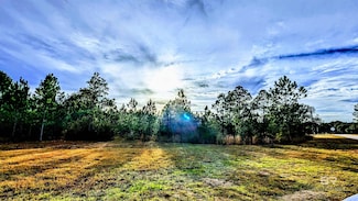 0 Royal Ln Unit 1 372746, Elberta, AL 36530