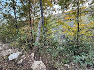 30 Hwy 89, Livingston, KY 40445