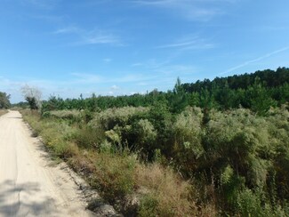 Tbd Ebenezer Rd, Blackville, SC 29817