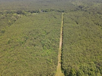 Ouachita Road 437 Unit LotWP001, Camden, AR 71701