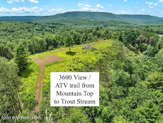 0 Dixon Ln, Dennison Township, PA 18661