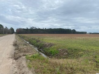 TBD Persimmon Rd Unit Lot 1, Aynor, SC 29511