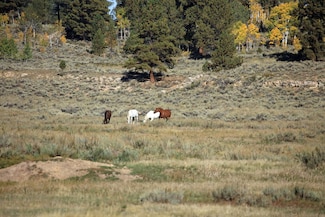 TBD Divide Rd Unit Louie Pasture, Whitewater, CO 81527