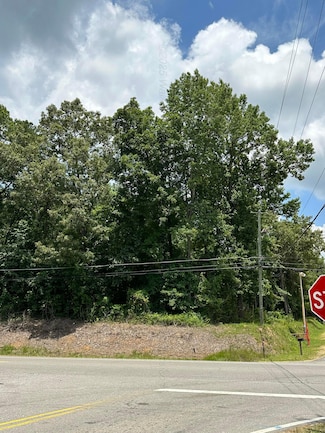 0 Alabama 69 Unit 25-305, Jasper, AL 35504