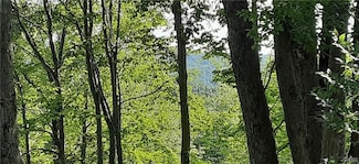 0 Newport Rd Unit S1601100, Newport, NY 13416