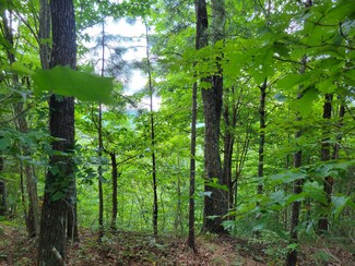 0 Old Harris Turnpike Rd Unit 1350851, South Pittsburg, TN 37380