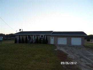 6890 S Saddler Rd, Chase, MI 49623