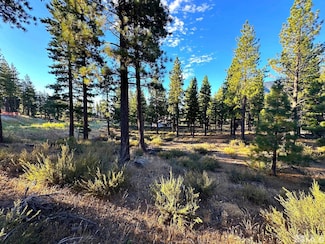 3379 Golf Club Dr, Carson City, NV 89705