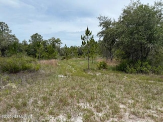 XXX S Francis St, Interlachen, FL 32148