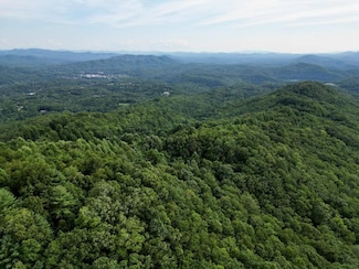 64.41 Fain Peak, Murphy, NC 28906