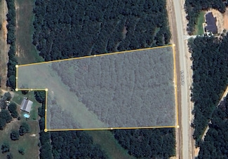 15631 Forest Grove Dr, Willis, TX 77378