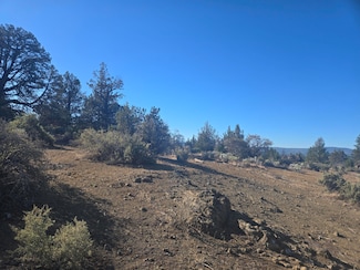 0 Sprague River Dr Unit Lot 38 220206205, Chiloquin, OR 97624