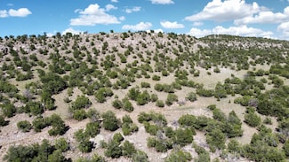 Lot 33 Seewald Estates, Thoreau, NM 87323
