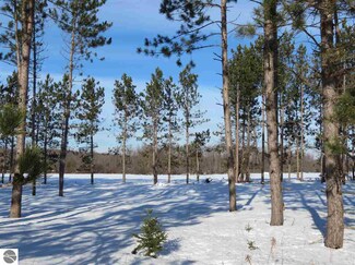 000 Meadow Ln Unit 3, Thompsonville, MI 49683