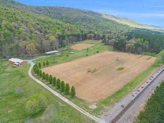 0 County Road 759 Unit 23210034, Valley Head, AL 35989