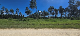 Lot 1 Aggie Ave, Livingston, TX 77351