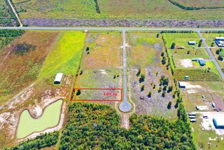 Lot 10 Harmony St Unit 10, Wewahitchka, FL 32465