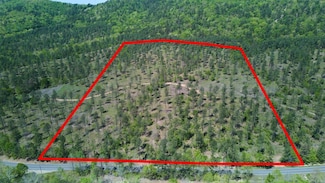 TBD Tract 2 Cedar Creek Rd, Hot Springs National Park, AR 71901