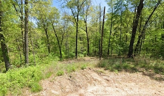 Lot 10 Heanor Ln, Bella Vista, AR 72714