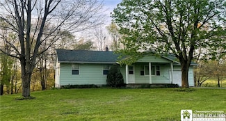 12296 Gulf Rd, South Dayton, NY 14138