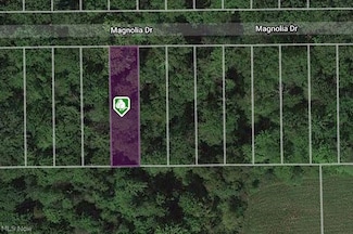 V/L Magnolia #22 Dr, Madison, OH 44057