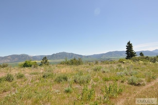 lot 4 Wagon Rd, Swan Valley, ID 83443