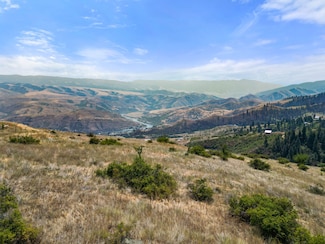 0 Tbd Blue Grouse Rd Unit 23669887, White Bird, ID 83554