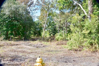 Lot F Courtenay Ave, Pass Christian, MS 39571