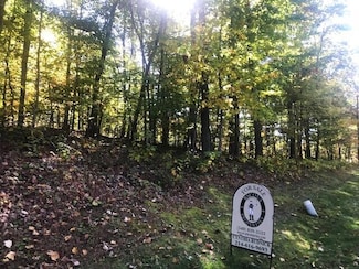 DR #55 N Forest Trail, Hot Springs, VA 24445