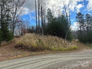 000 the Vines Blvd Unit 5, Marshall, NC 28753