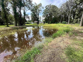 58160 Ozone Ln, Plaquemine, LA 70764